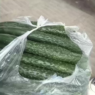 黄瓜