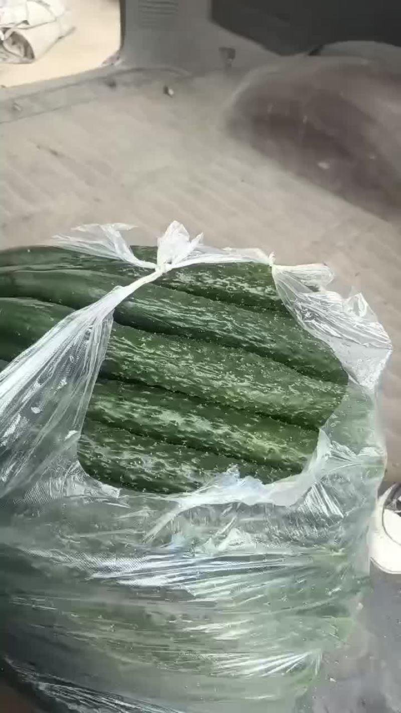 黄瓜
