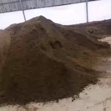 猪粪牛粪大量有货
