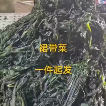裙带菜，裙带菜叶，裙带菜杆