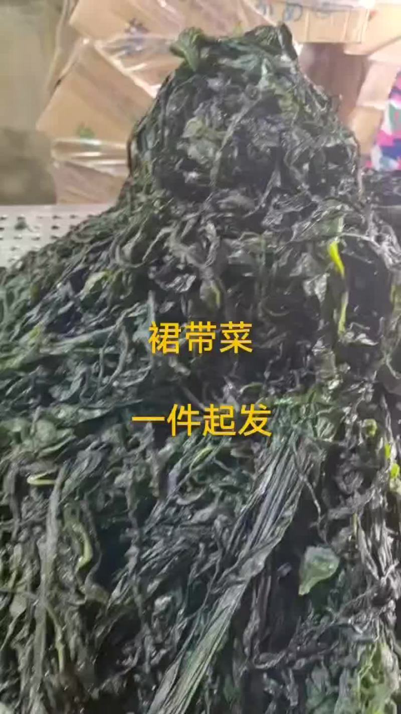裙带菜，裙带菜叶，裙带菜杆