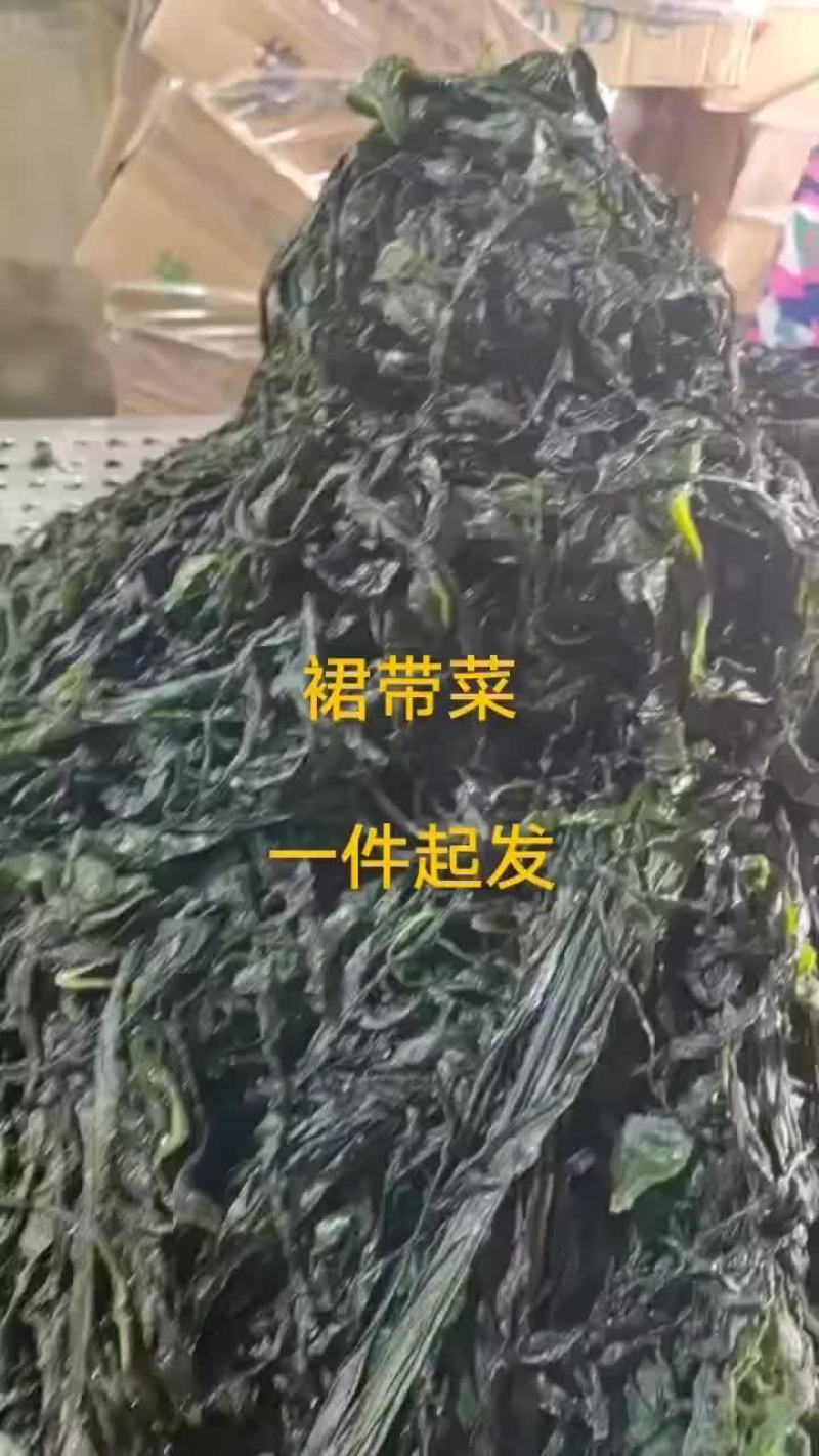 裙带菜，裙带菜叶，裙带菜杆