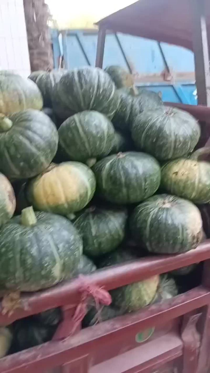板栗南瓜大量供应