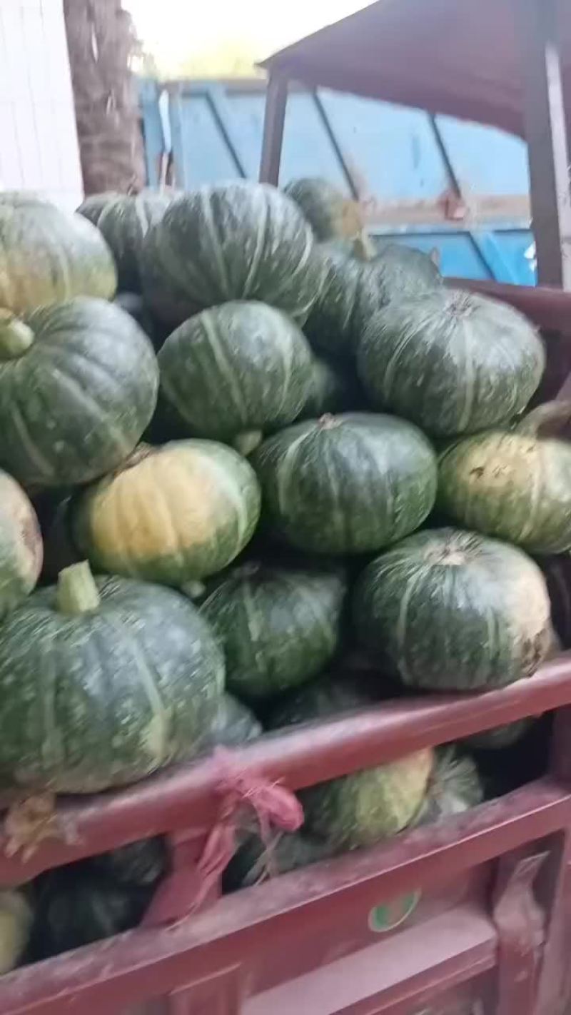 板栗南瓜大量供应
