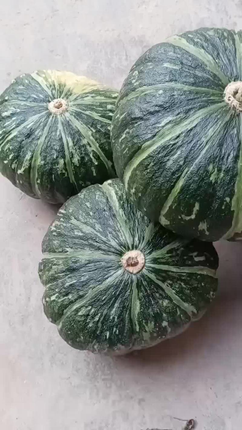 板栗南瓜大量供应