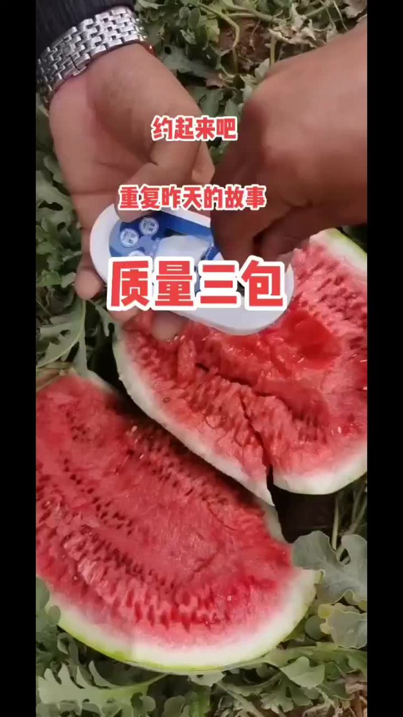 西瓜