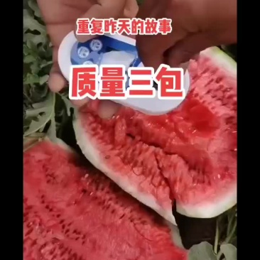 西瓜