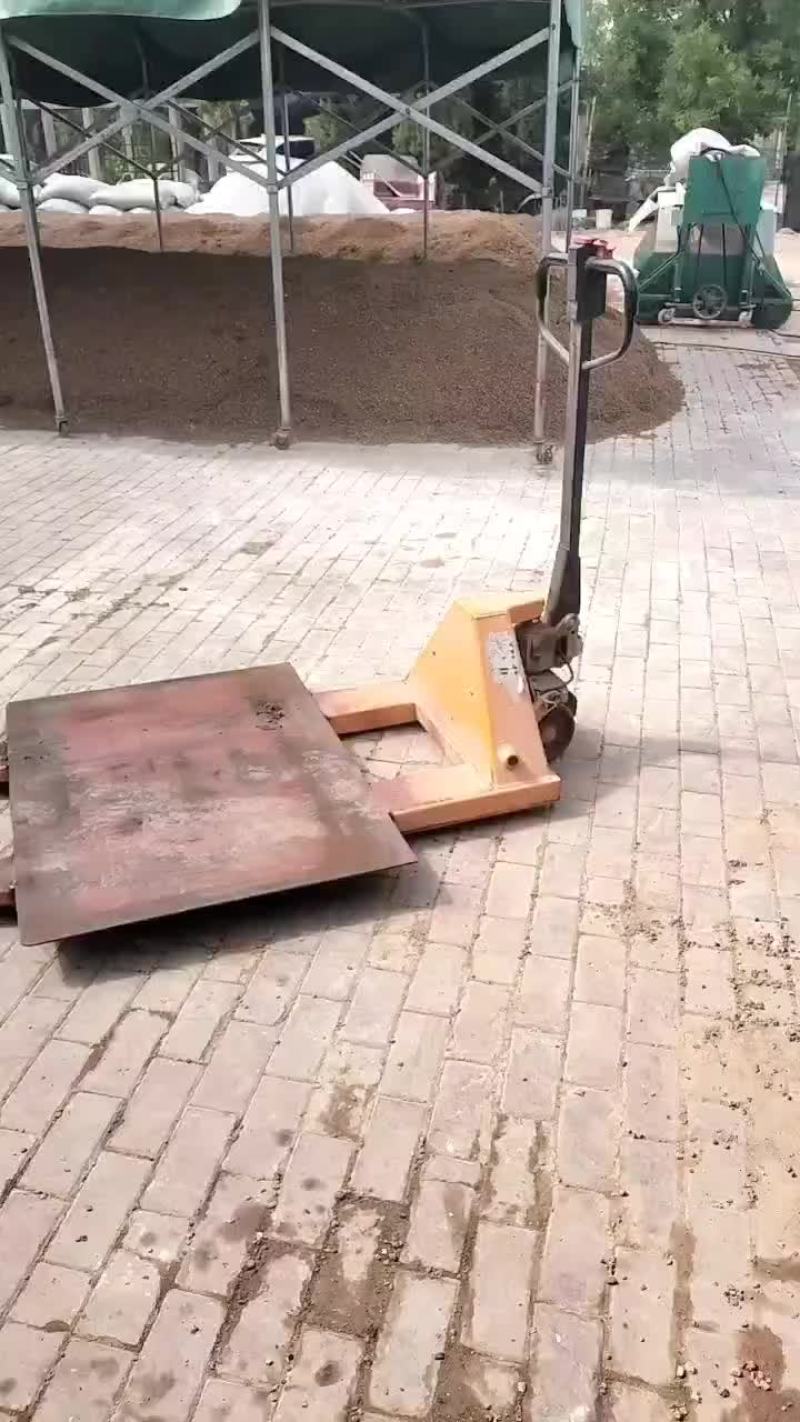 出菇菌包