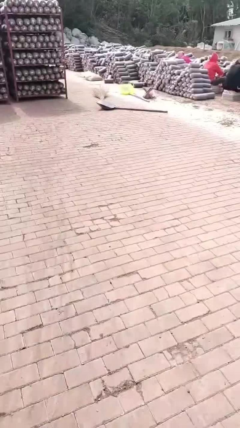 出菇菌包