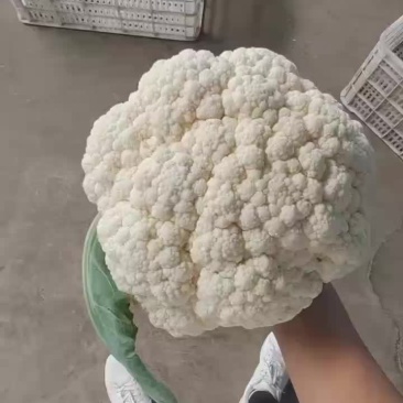松花土米