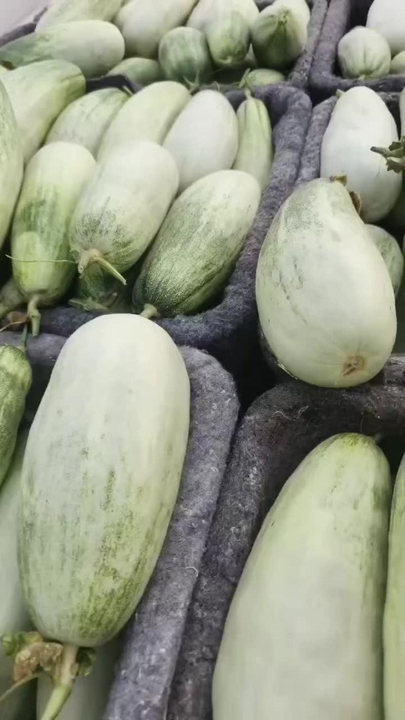 博洋甜瓜几毛钱了