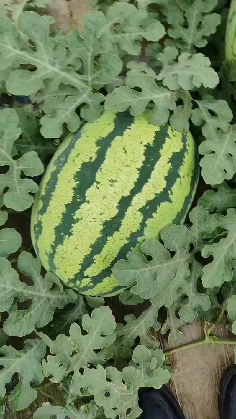 西瓜，梨，苹果