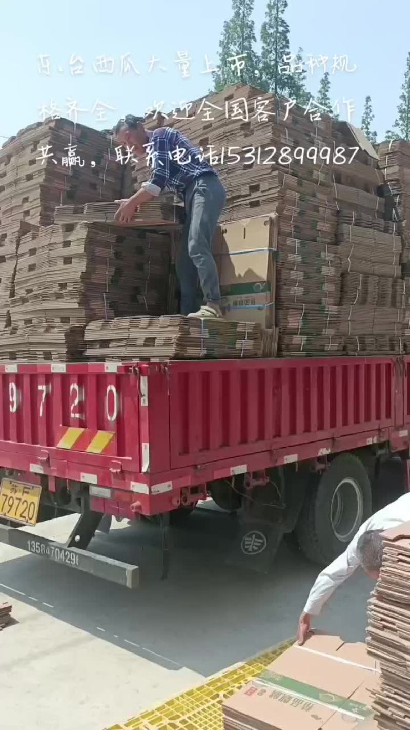 东台西瓜大量上市，品种齐全，美都，特小凤，8424，甜瓜