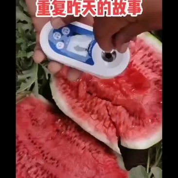 西瓜