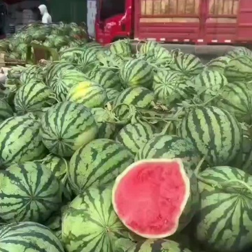 精品头茬无籽美都