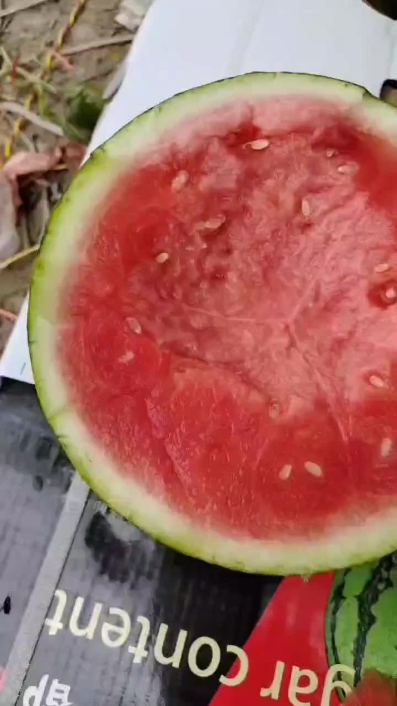 精品头茬无籽美都