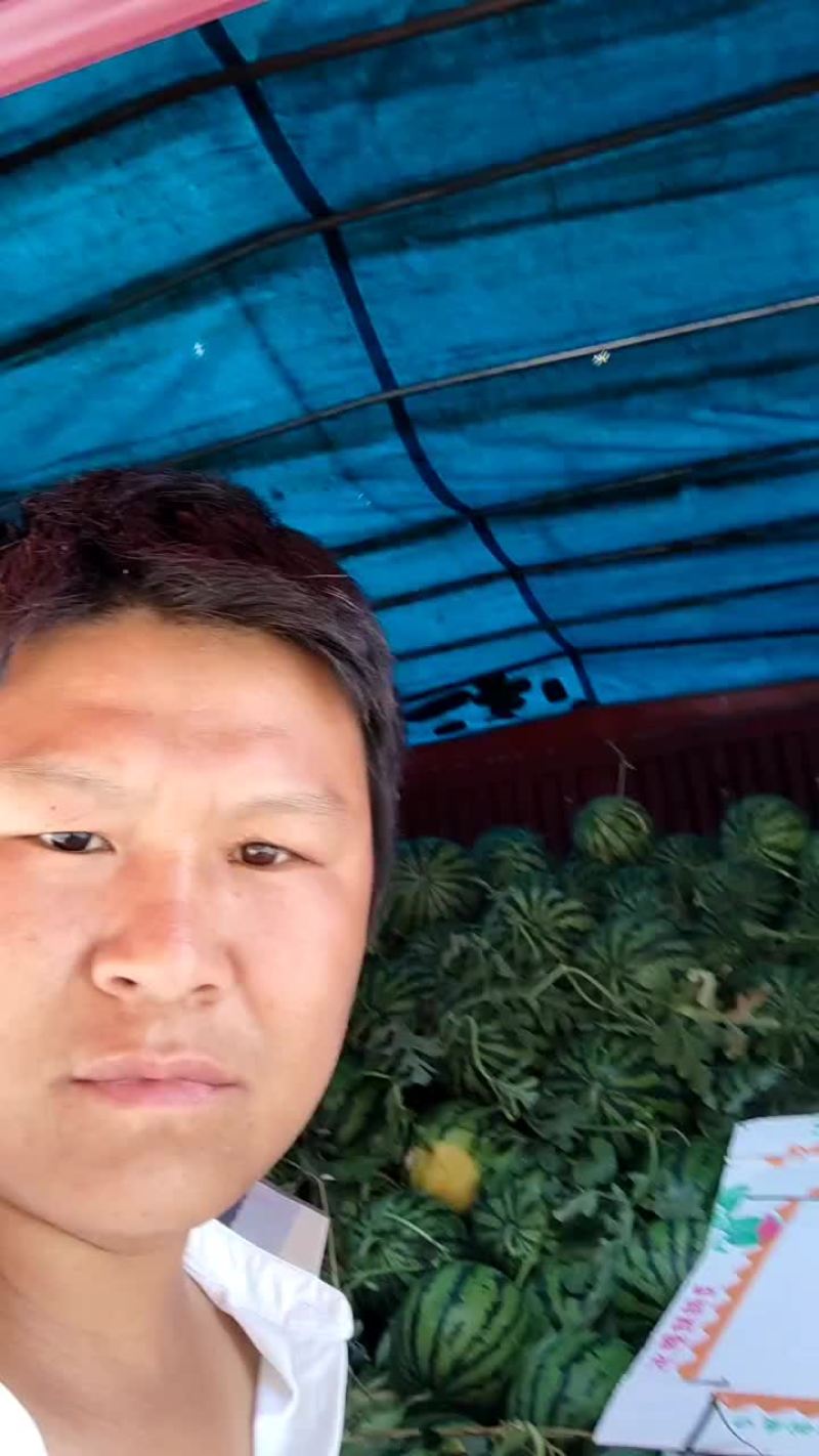 精品头茬无籽美都