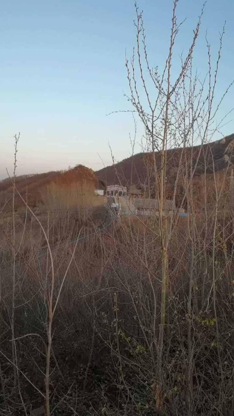 秦皇岛4片山地低价转让