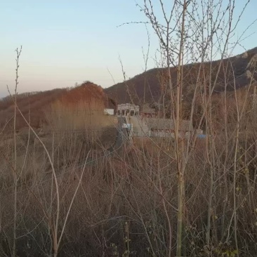 秦皇岛4片山地低价转让