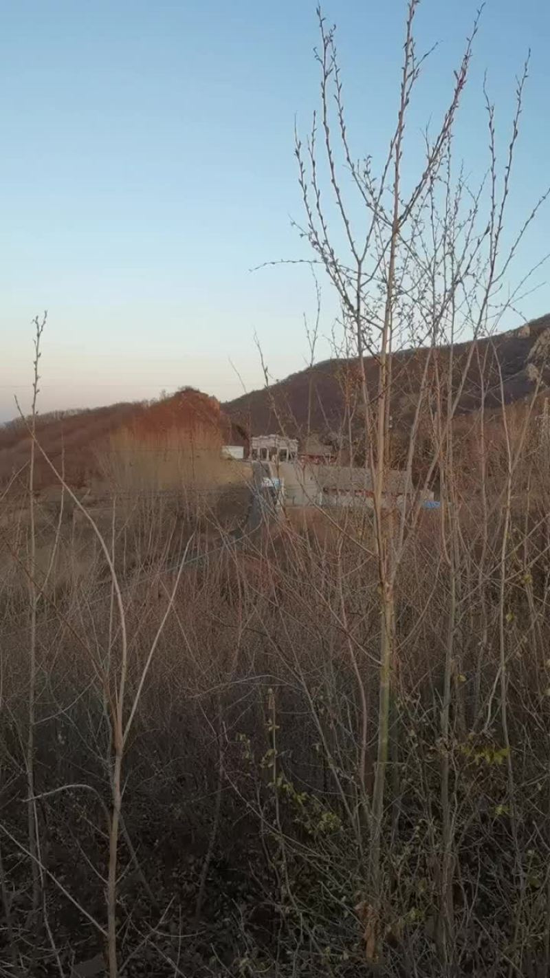 秦皇岛4片山地低价转让