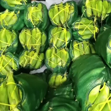 靓货，长沙，需要的来