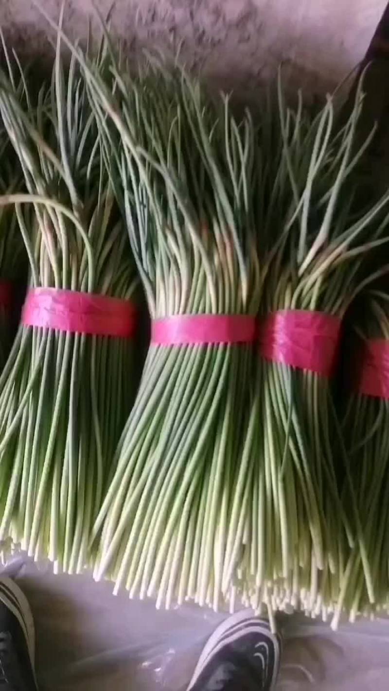 蒜苔，红帽