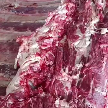 鲜牛肉，羊肉工厂直供