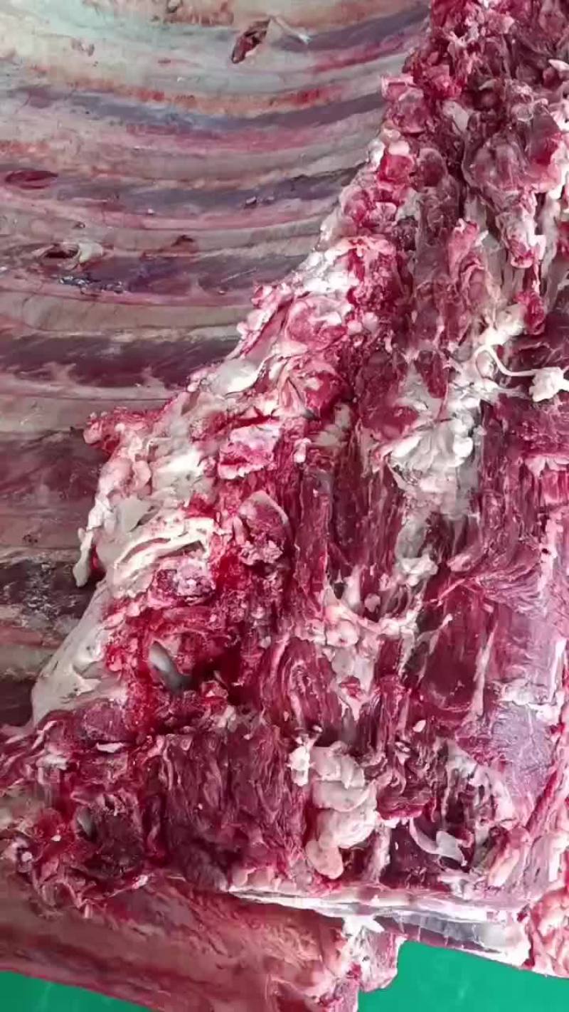 鲜牛肉，羊肉工厂直供