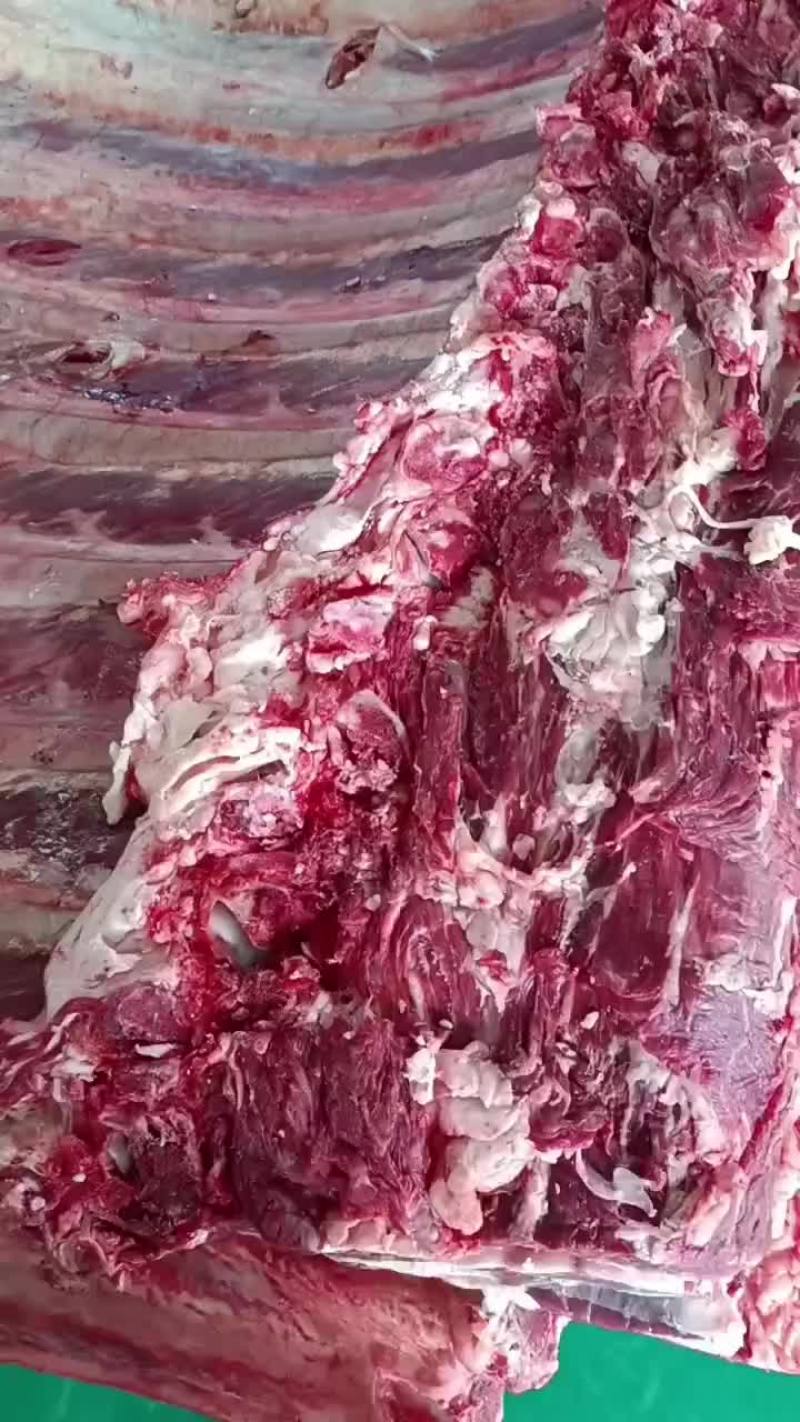 鲜牛肉，羊肉工厂直供