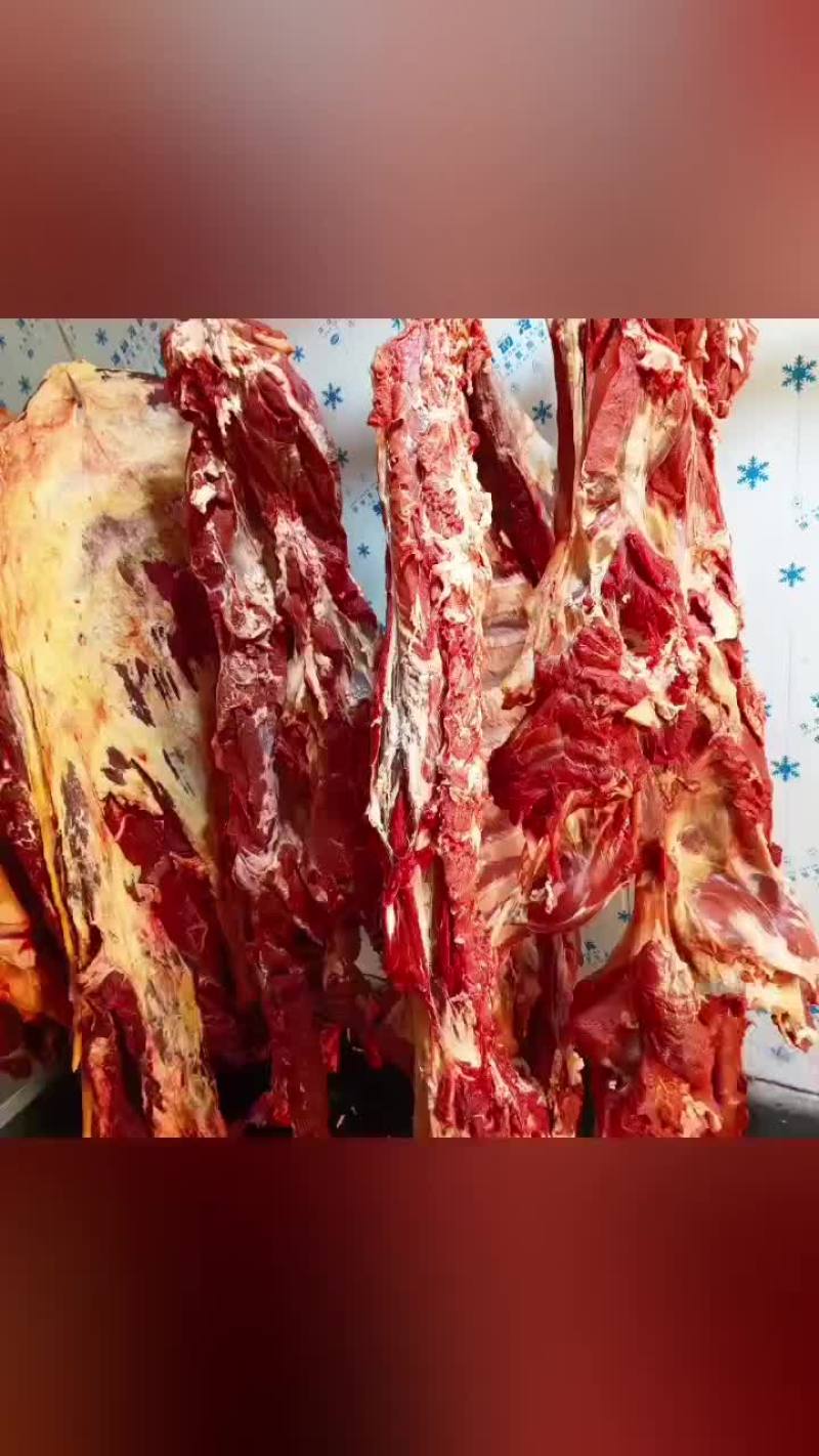 鲜牛肉，羊肉工厂直供