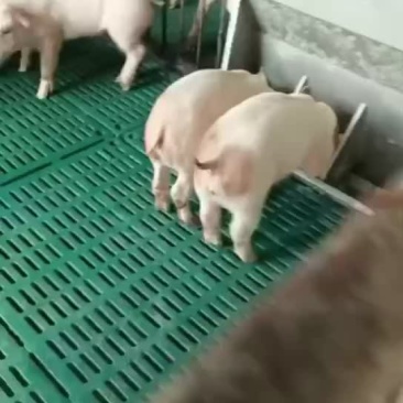 精品外三元
