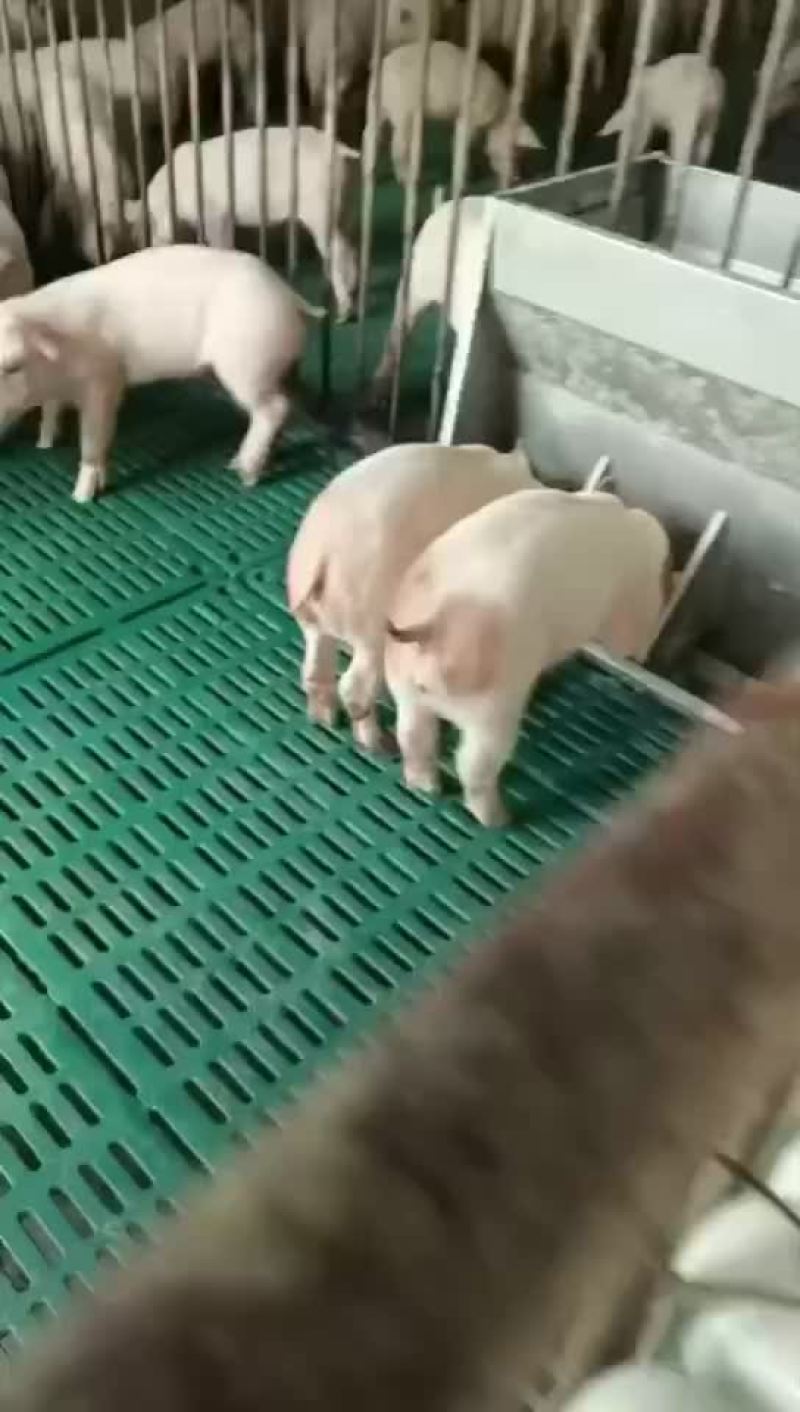 精品外三元