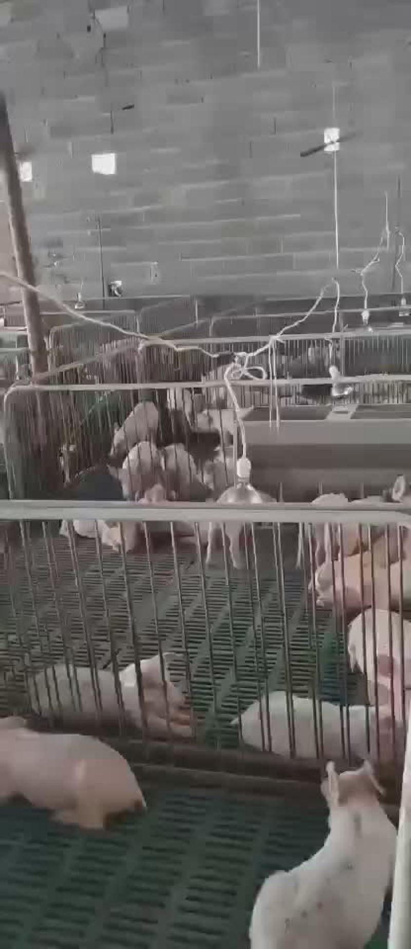 精品外三元