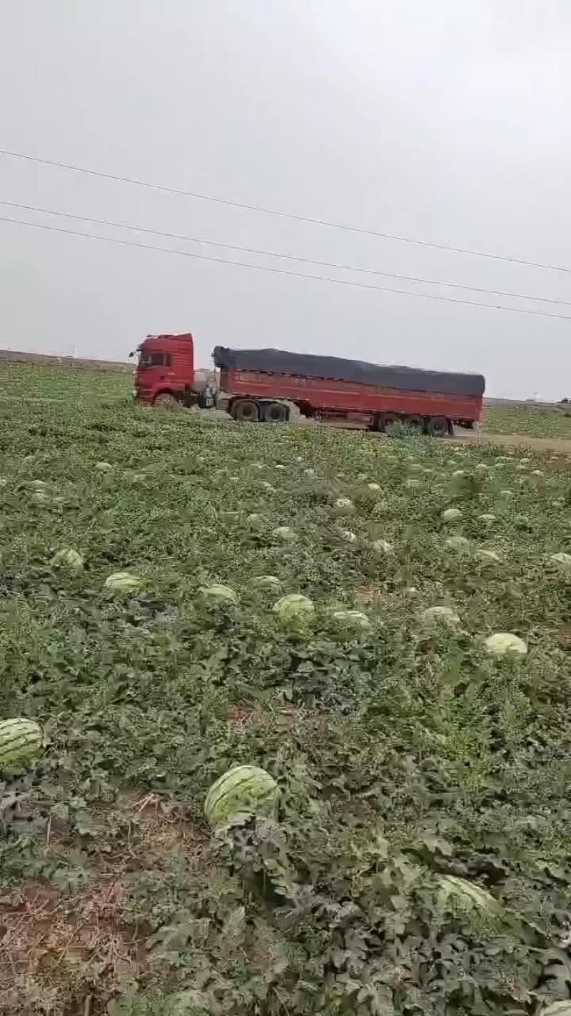 西瓜
