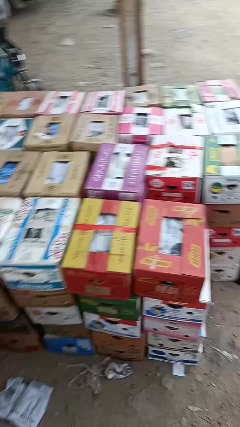 精品西葫芦现已大量上市欢迎各界老板前来洽谈