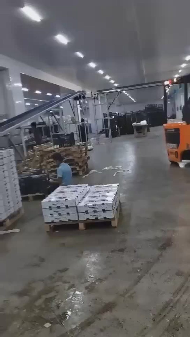 乌兹别克斯坦车厘子