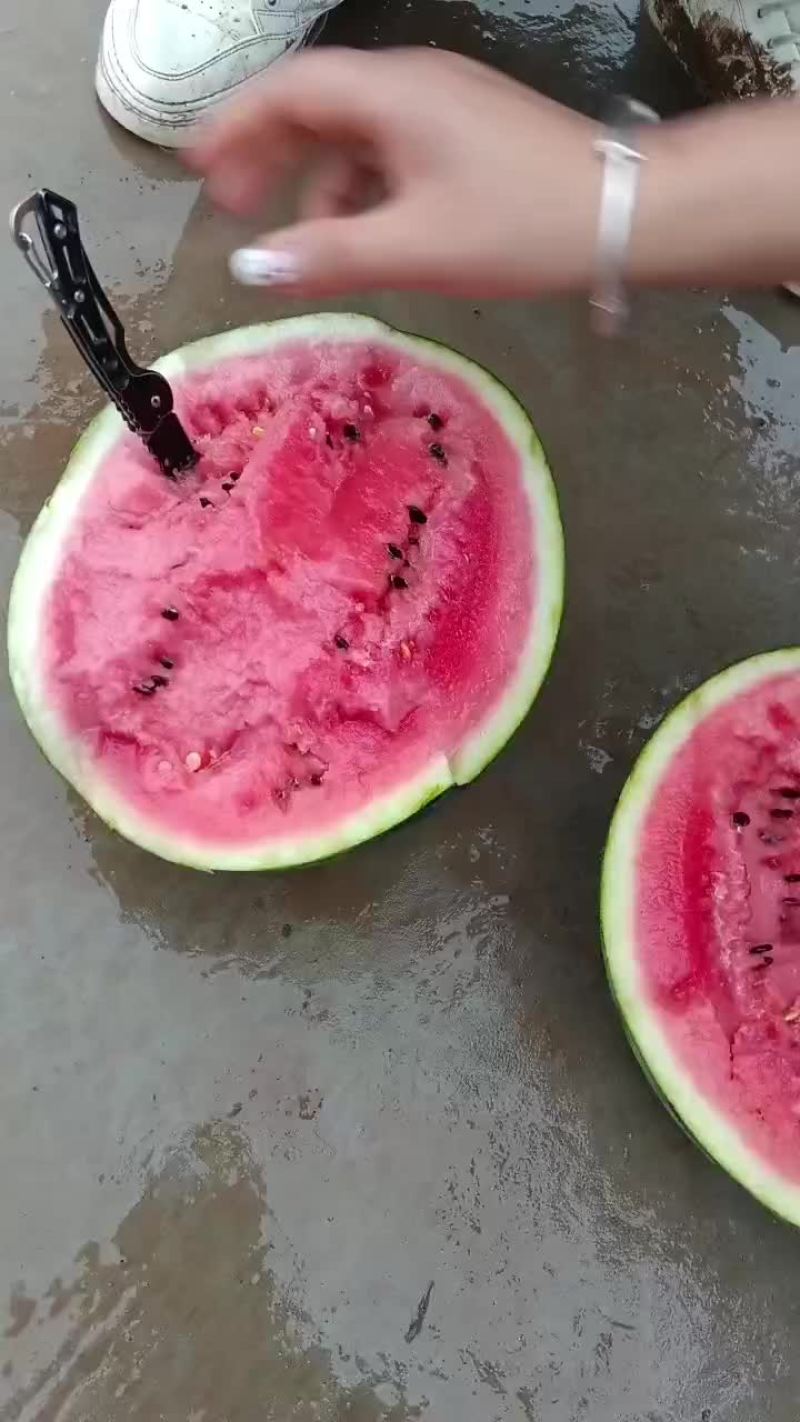 陕西甜王西瓜