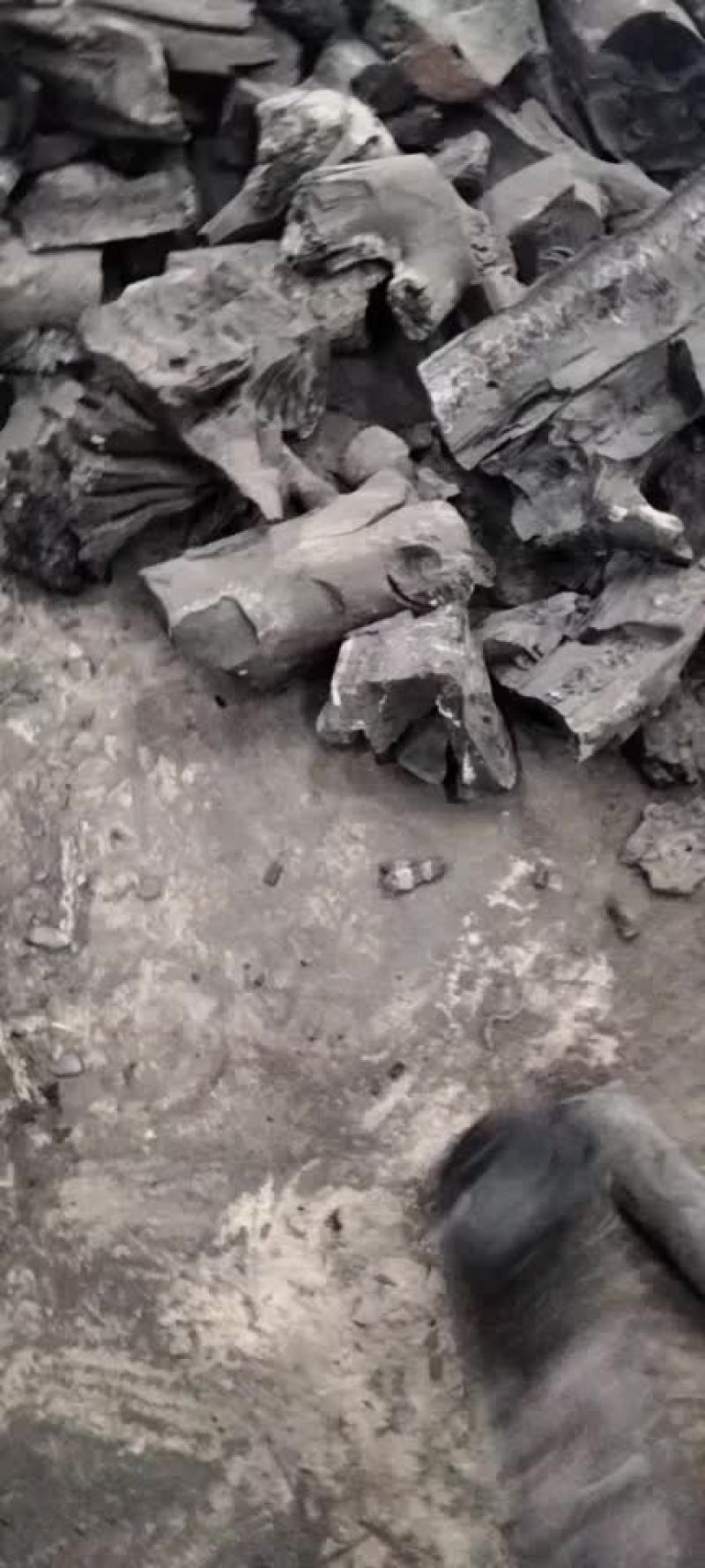 高温果木碳烧烤碳