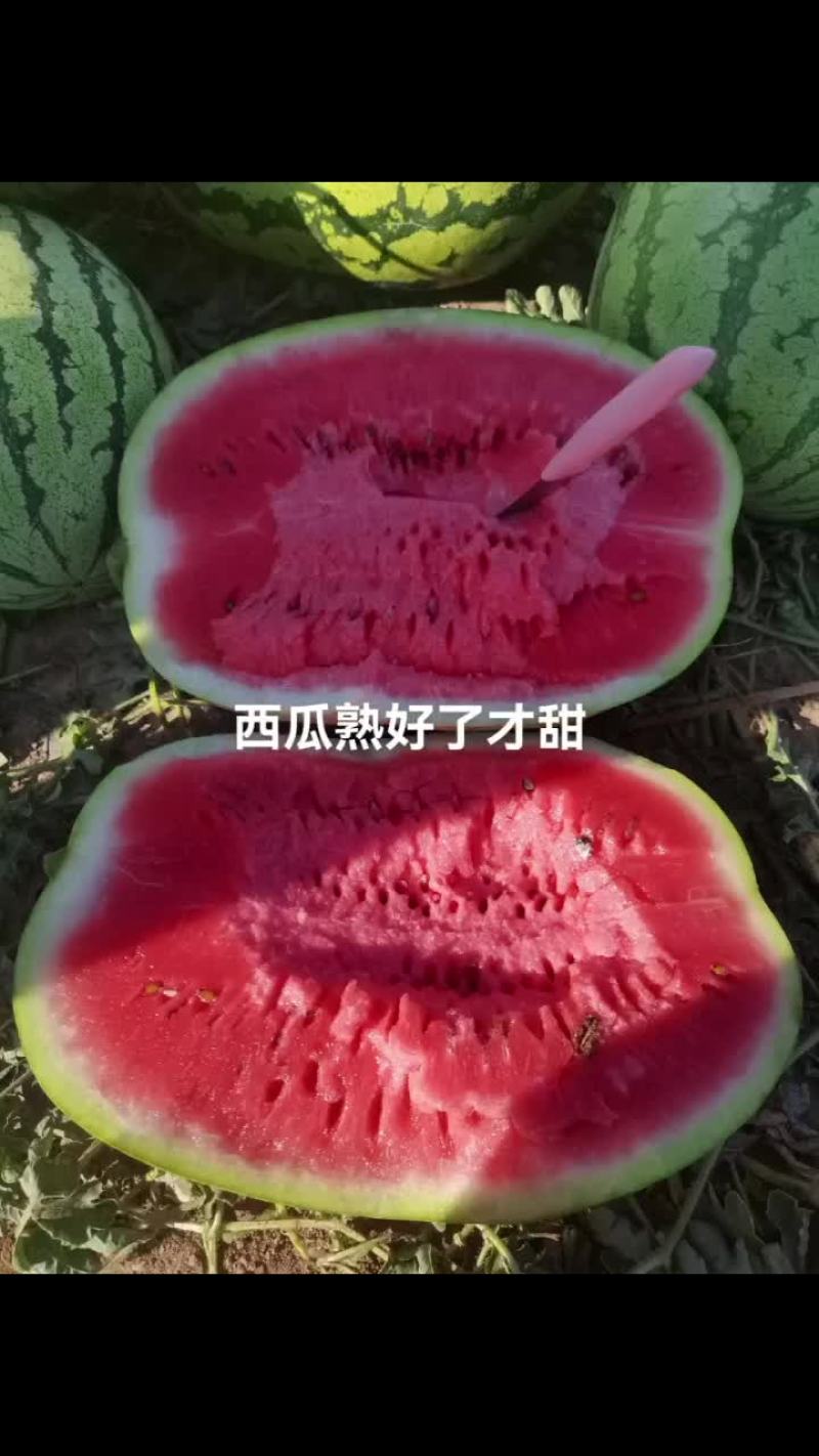 内蒙古巴彦淖尔市乌拉特前旗沙漠一号，绿爽金城五，实力代办