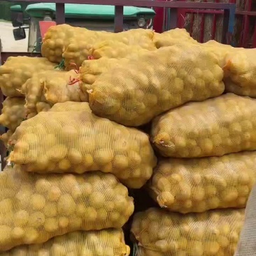 湖北大西洋土豆2两起