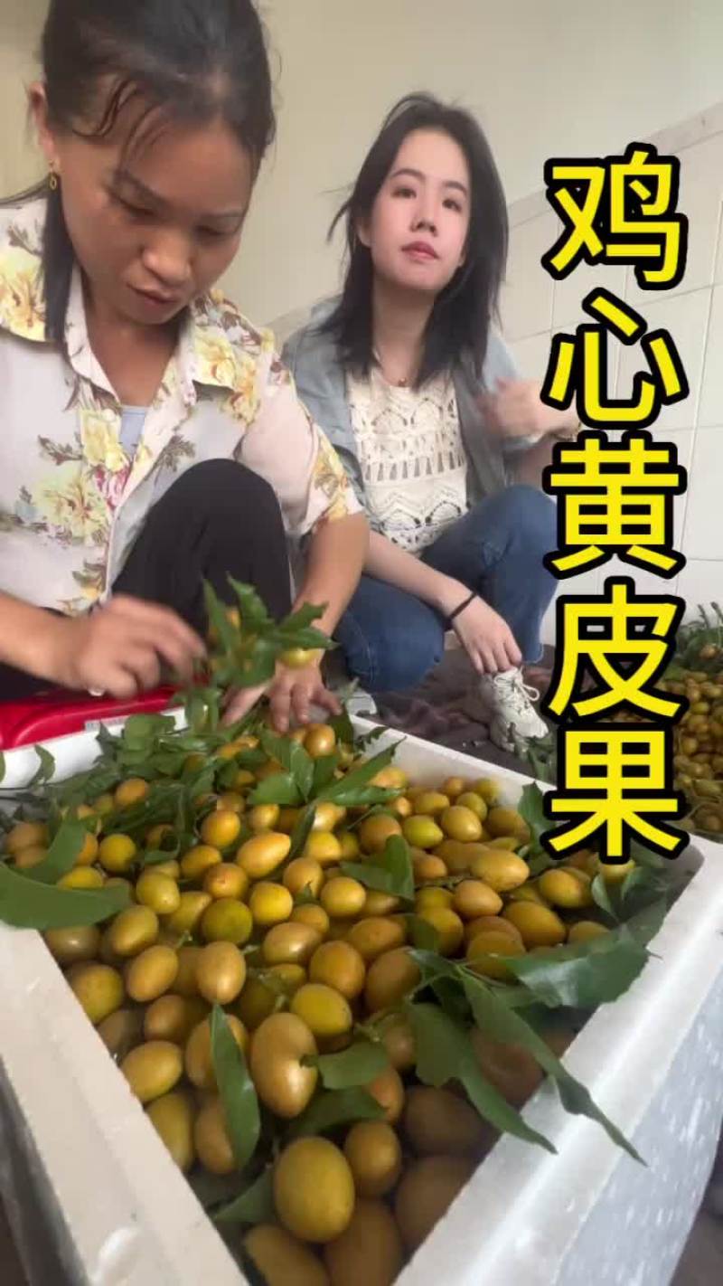 鸡心黄皮果.一件代发/奶茶店/顺丰包邮