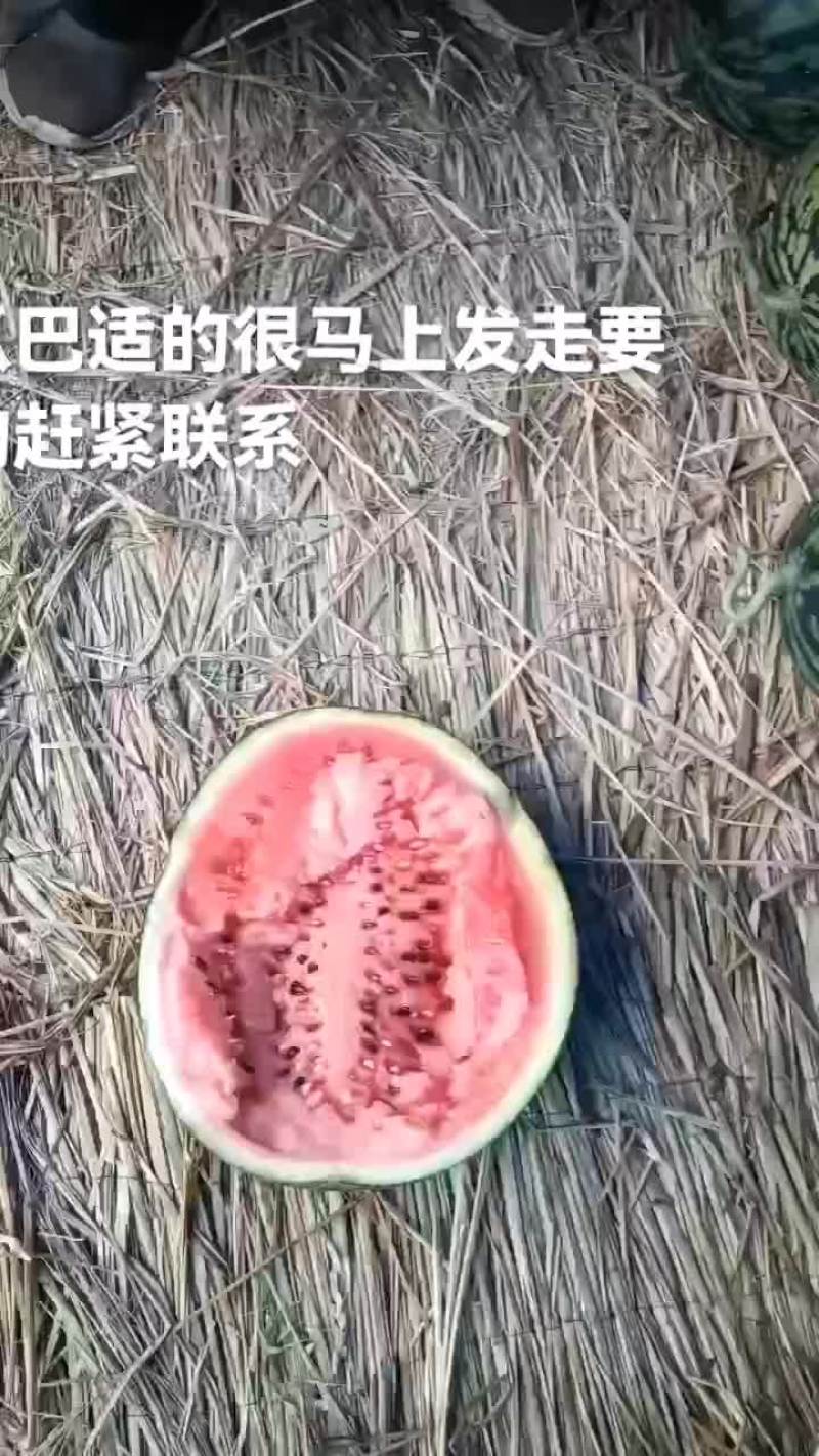 西瓜有货要的联系
