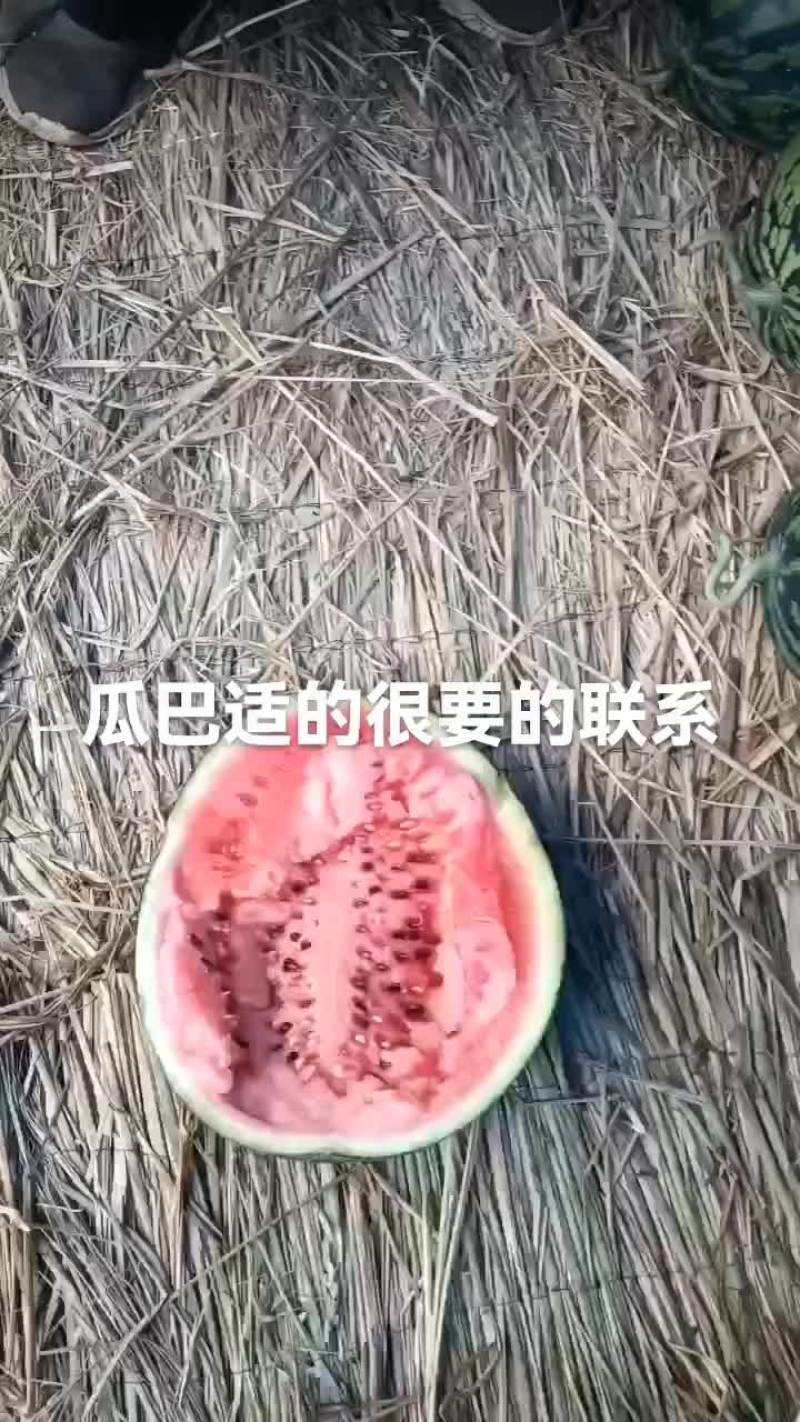 西瓜有货要的联系