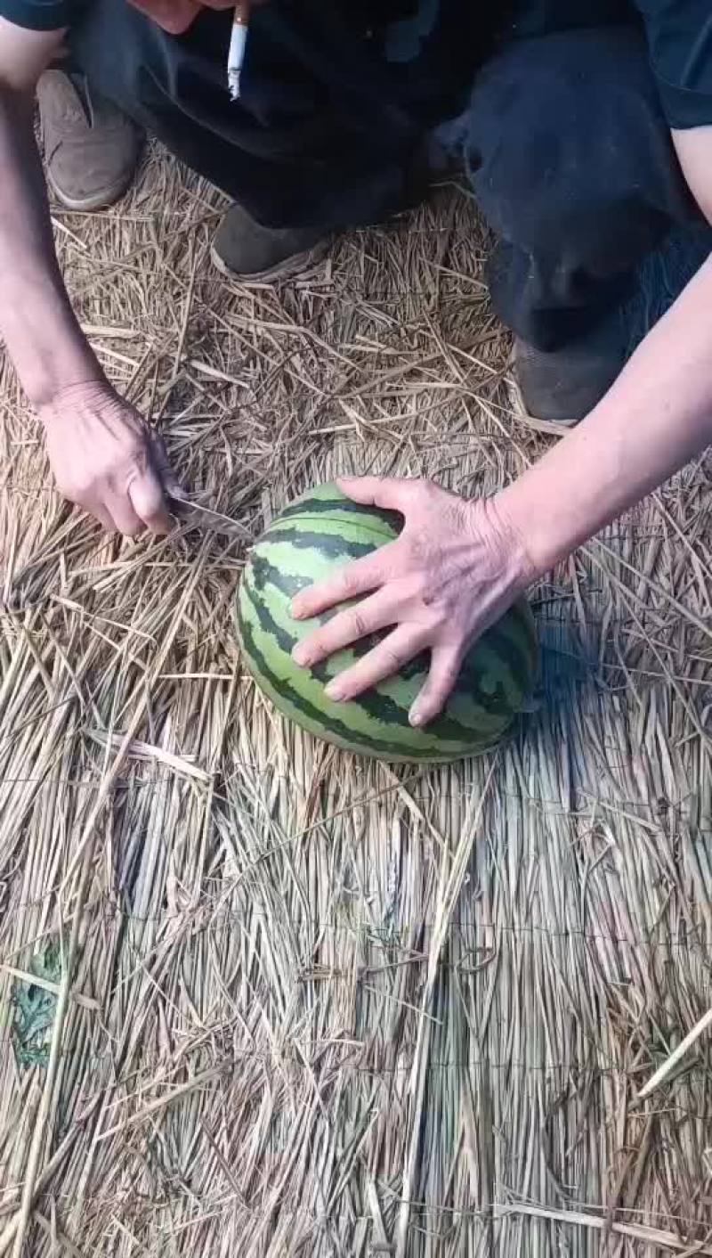 西瓜有货要的联系