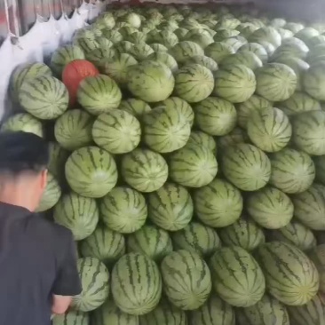 西瓜