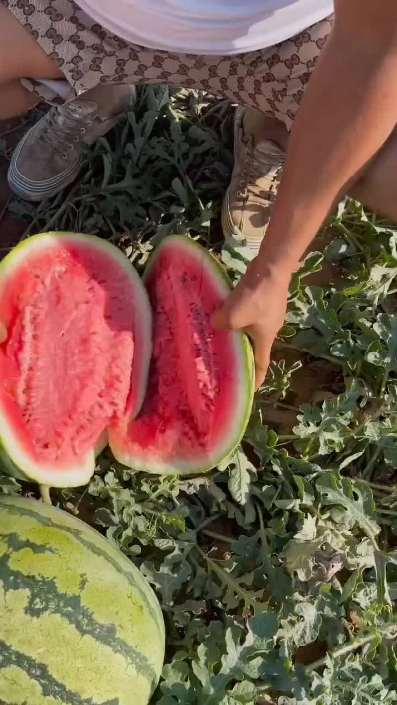 西瓜