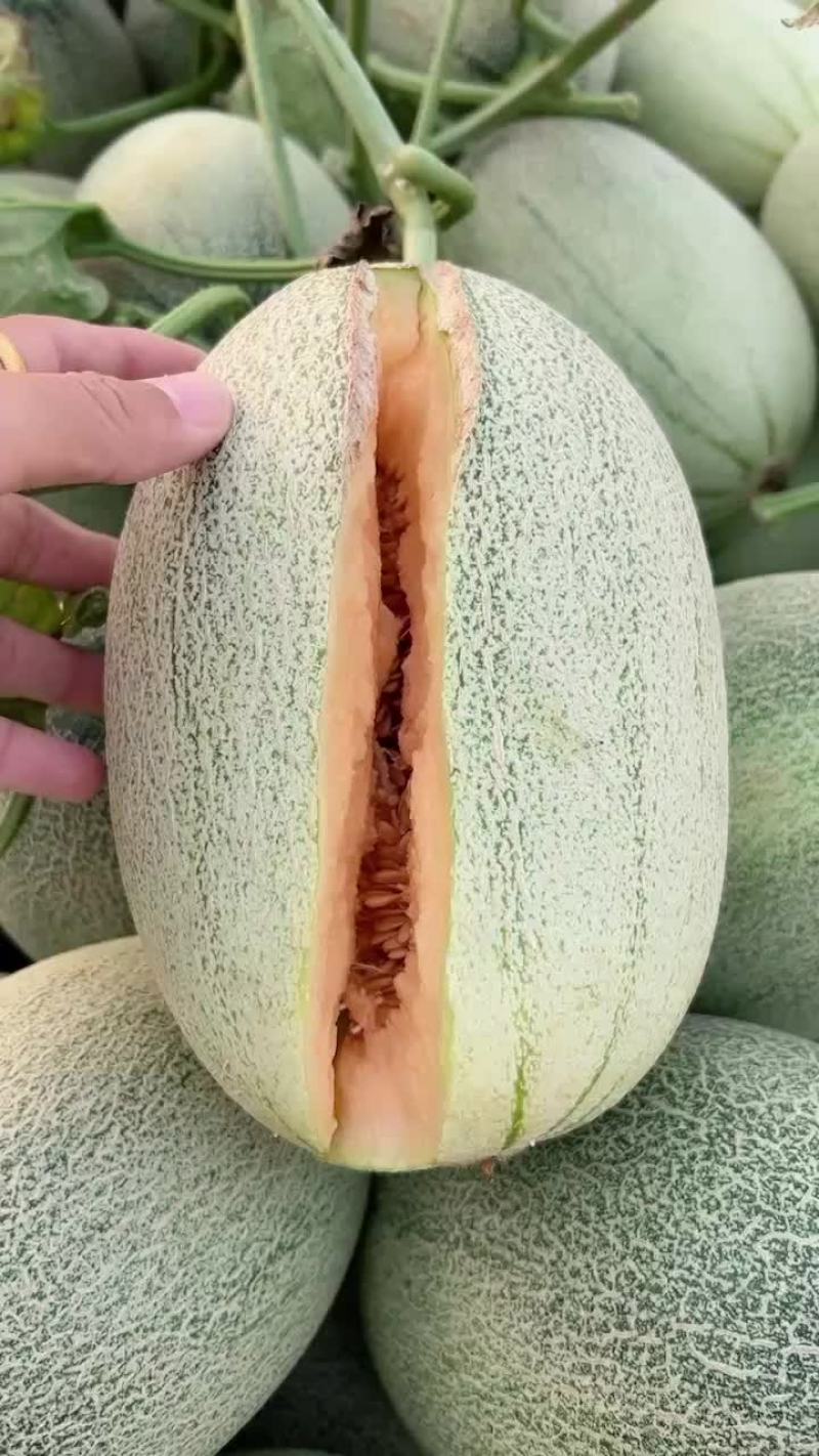 西周蜜25
