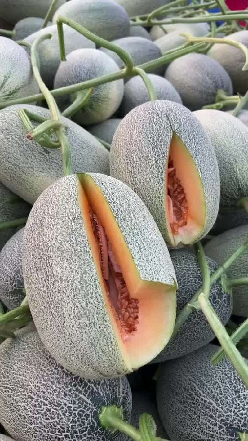 西周蜜25