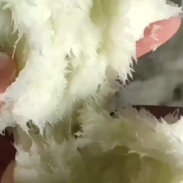 冬瓜蓉白萝卜蓉无青皮无籽无杂质质量一级。