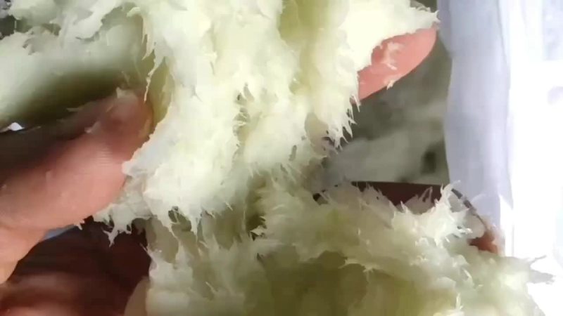 冬瓜蓉白萝卜蓉无青皮无籽无杂质质量一级。